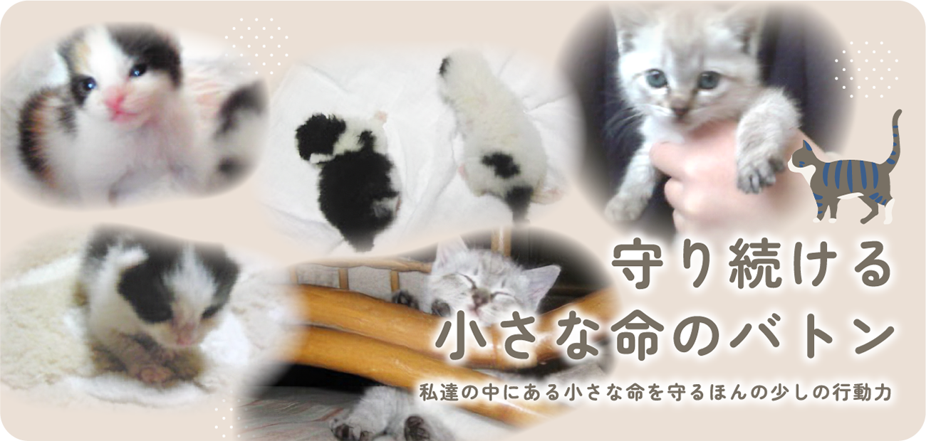 守り続ける小さな命のバトン